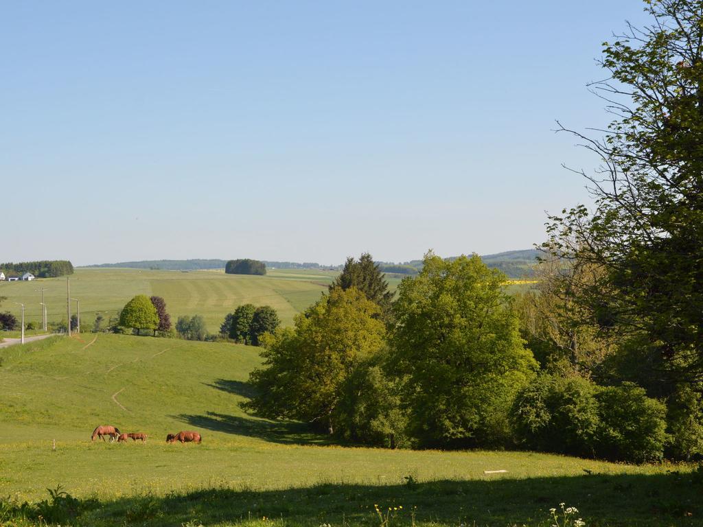 Attached Gite On The Edge Of The Forest Trois-Ponts Bagian luar foto