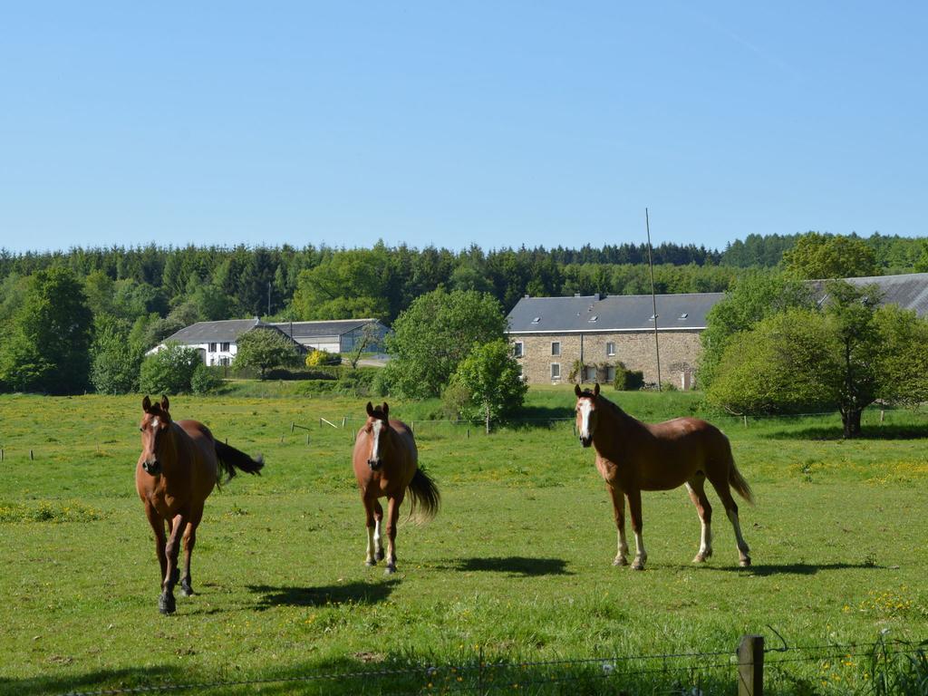 Attached Gite On The Edge Of The Forest Trois-Ponts Bagian luar foto